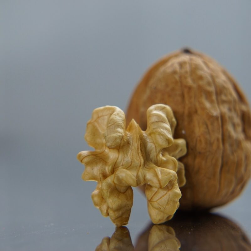 walnut g1263c0475 1920
